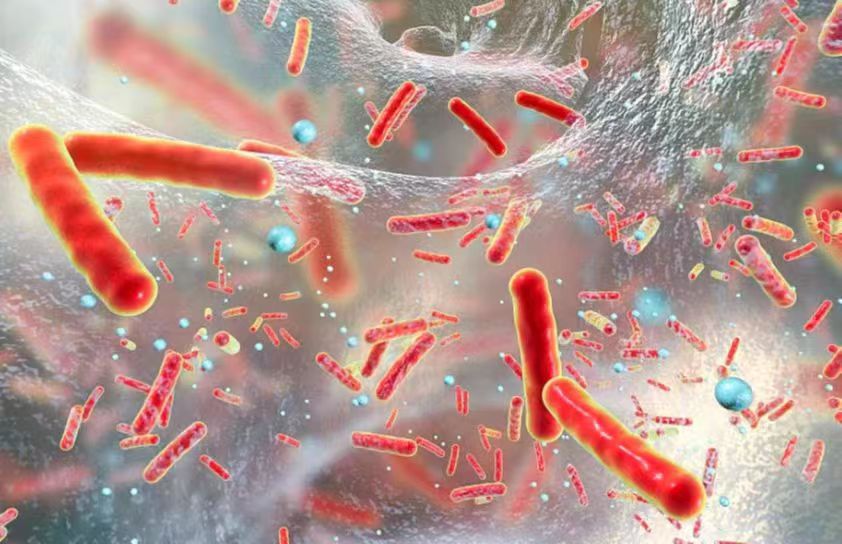 病原微生物香蕉视频色版下载完整污水处理设备，病原微生物废水如何达标处理